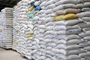 Sở Công Thương thành lập đoàn kiểm tra điều kiện kinh doanh xuất khẩu gạo của doanh nghiệp