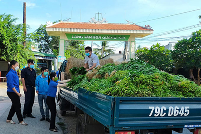 Cám ơn món quà tình nghĩa