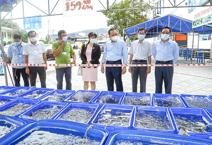 Khảo sát các điểm hỗ trợ tiêu thụ nông, thủy sản