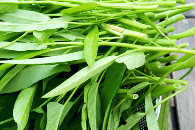 Ra chợ mua bó rau - Báo Khánh Hòa điện tử