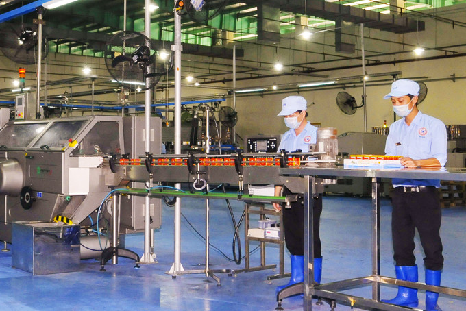 Hoạt động sản xuất tại Công ty TNHH Nhà nước một thành viên Yến sào Khánh Hòa.