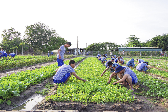 Lữ đoàn 101 Hải quân: Đảm bảo tốt công tác hậu cần