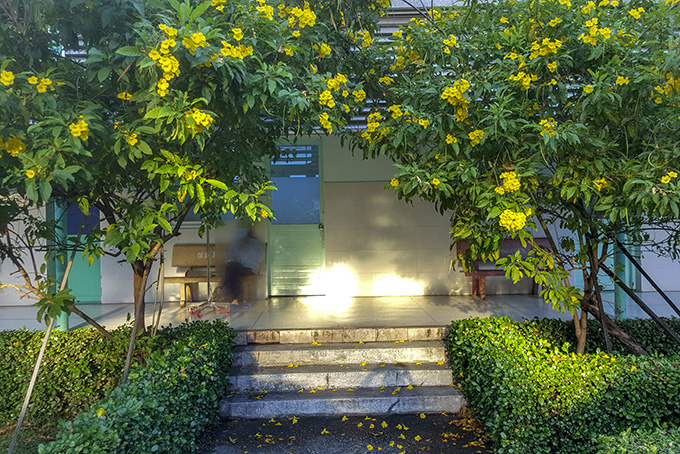 Những thường ngày lấp lánh