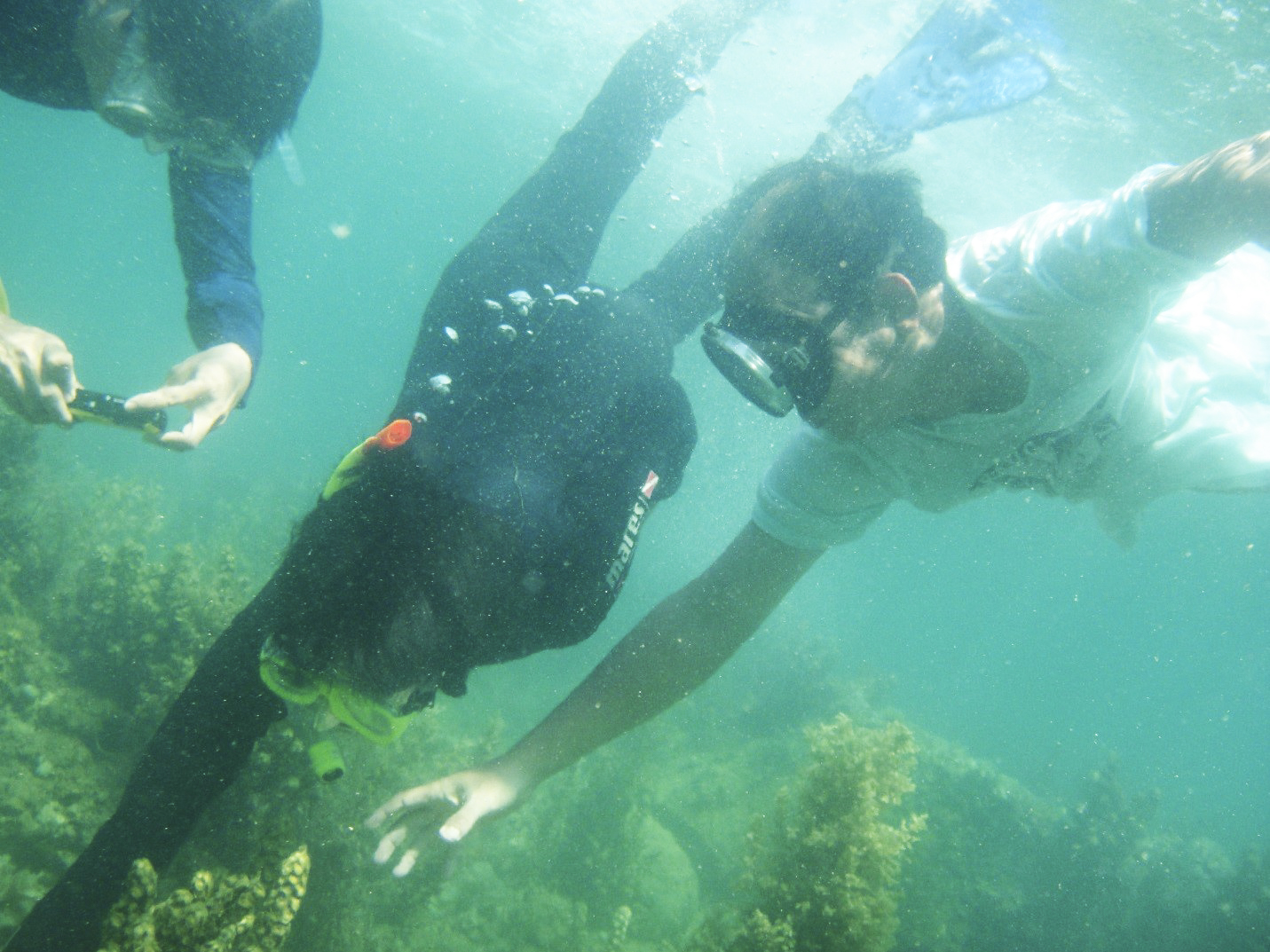 Lập bản đồ thảm thực vật dưới biển bằng công nghệ viễn thám