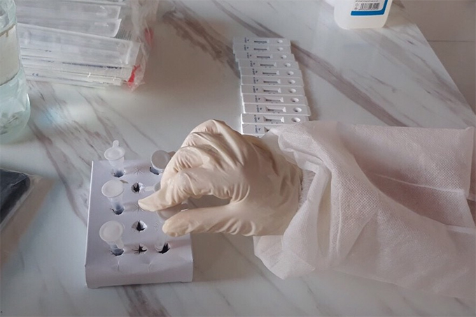 Ngày 19-1, Khánh Hòa ghi nhận 603 ca mắc mới