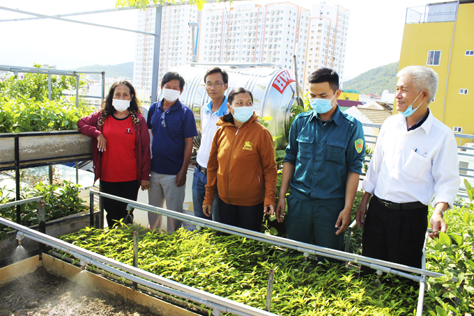 Nhân rộng những vườn rau gia đình