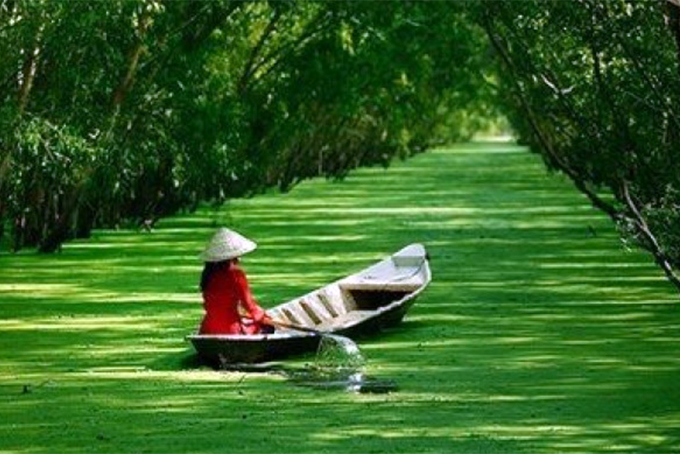 Đi trong hương tràm