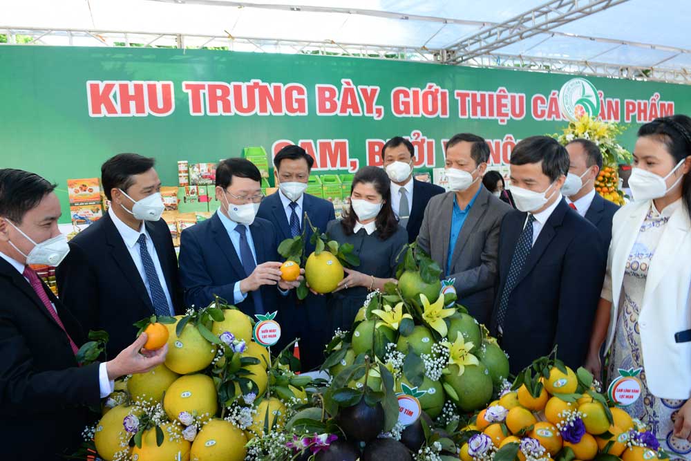 Lãnh đạo tỉnh Bắc Giang  cùng một số đại biểu thăm gian hàng trưng bày nông sản tại huyện Lục Ngạn.