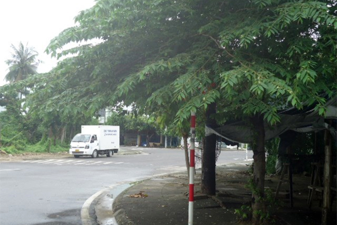 Biển báo bị cây xanh che khuất