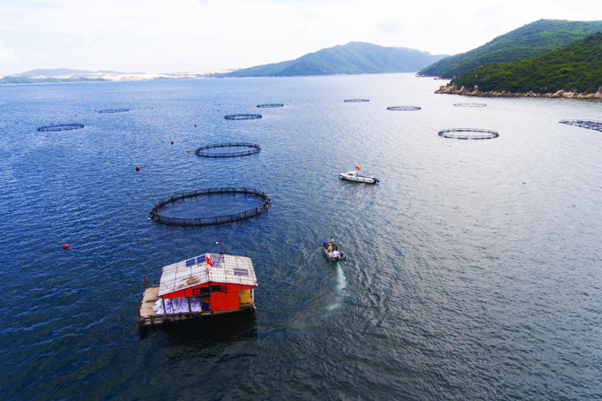 Nuôi trồng thủy sản theo hướng công nghiệp đã bắt đầu phát triển tại vịnh Vân Phong.