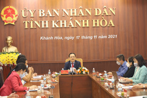Tọa đàm trực tuyến giữa các Đại sứ, Tổng Lãnh sự Việt Nam ở nước ngoài với các địa phương