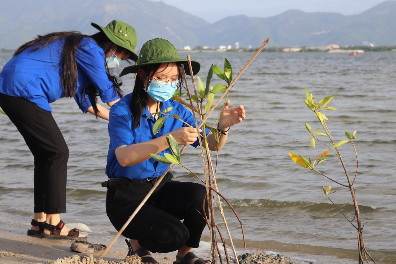 Các bạn trẻ huyện Cam Lâm tham gia trồng cây.