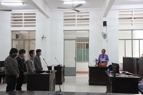 Dắt trộm bò, cả nhóm vào tù