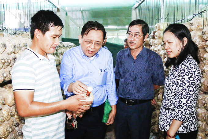 Hội đồng OCOP tỉnh kiểm tra, khảo sát quá trình sản xuất nấm linh chi tại xã Ninh Hưng, thị xã Ninh Hòa năm 2020.