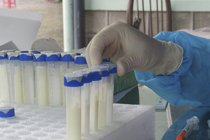 Từ 7 giờ đến 17 giờ ngày 23-12, Khánh Hòa ghi nhận thêm 610 ca dương tính với SARS-CoV-2