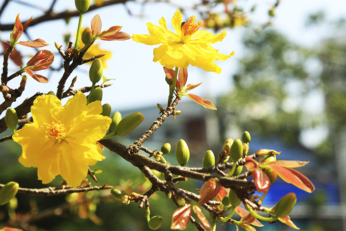 Tập trung chăm lo Tết cho nhân dân