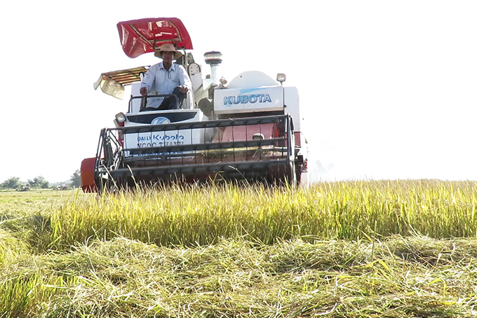 Hội Nông dân huyện Vạn Ninh linh hoạt trong hoạt động hội