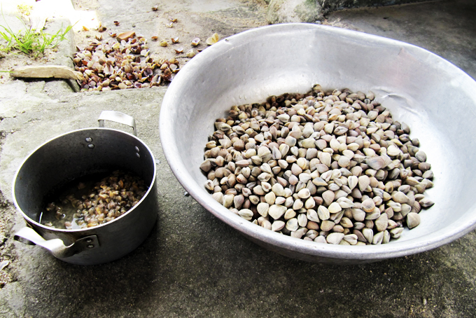 Nhớ mùa mắm sút cuối năm