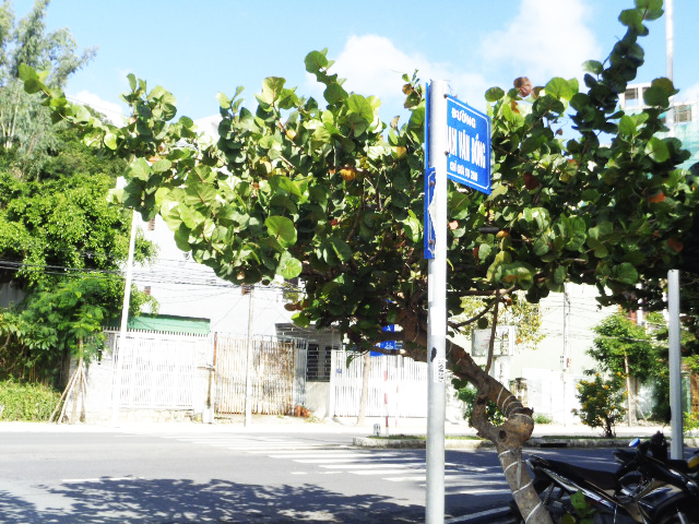 Cần gắn lại biển tên đường