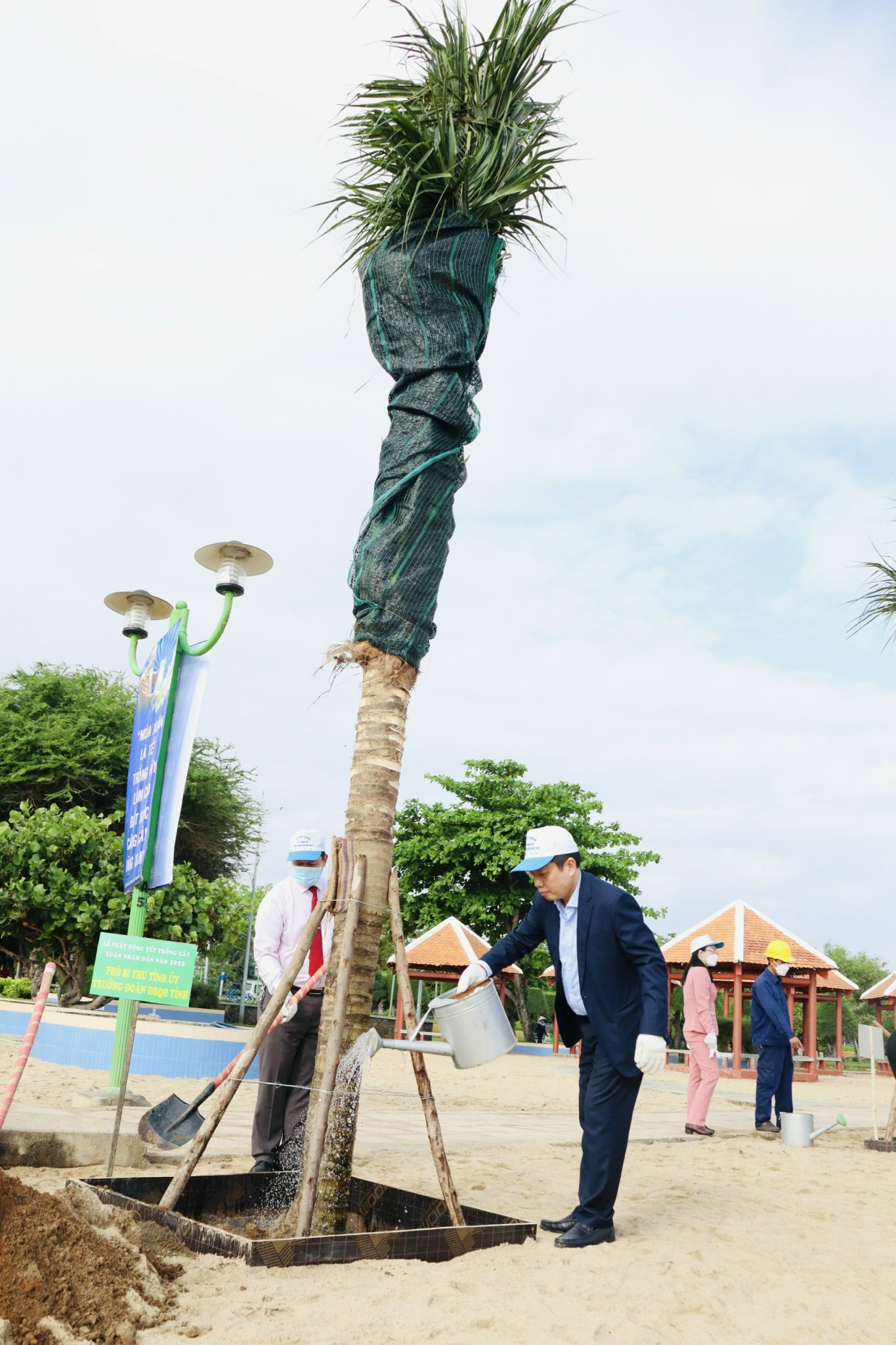 Phó Bí thư Tỉnh ủy Hà Quốc Trị tưới nước cho cây dừa vừa được trồng