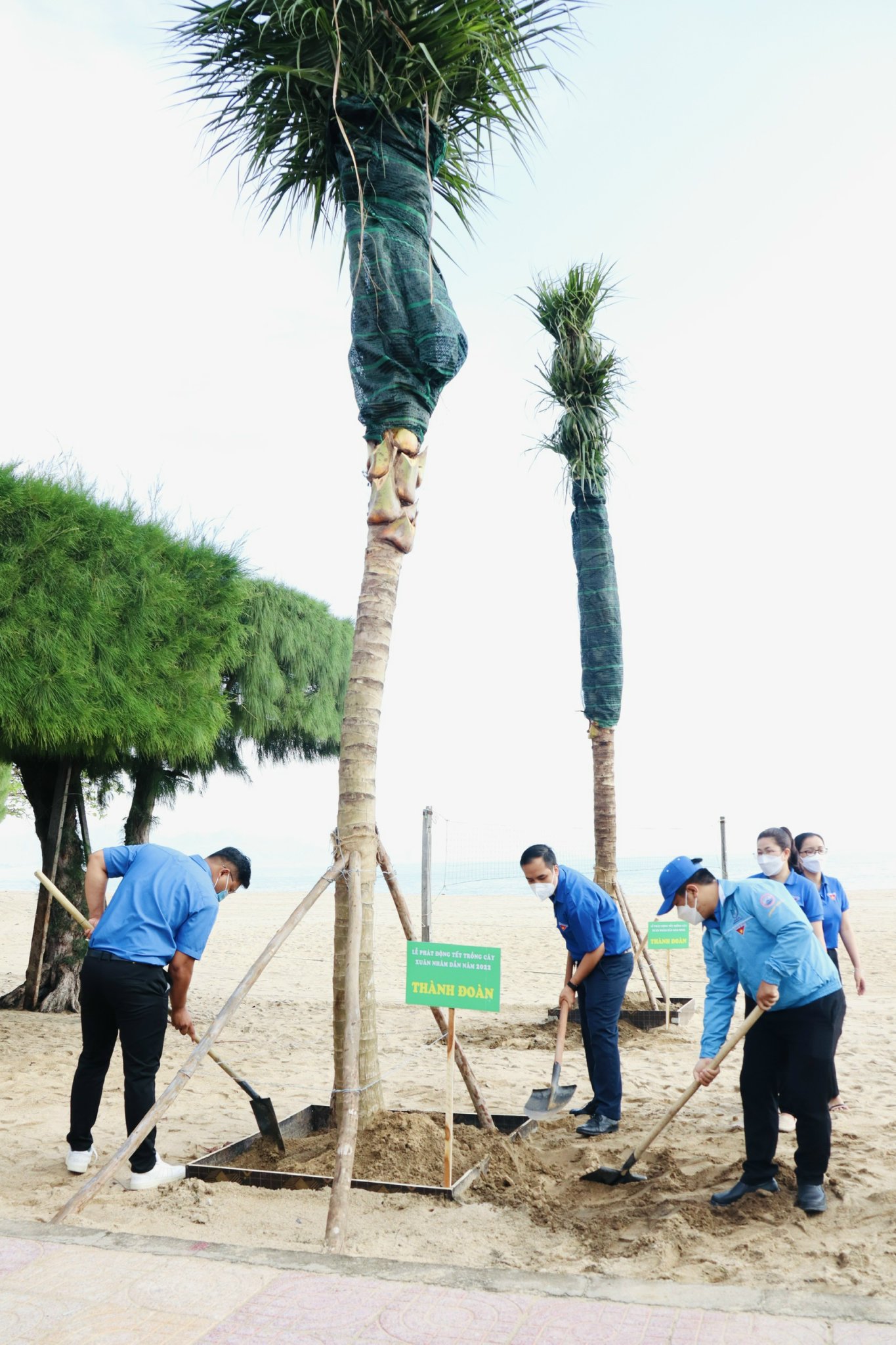 Đoàn viên, thanh niên tham gia trồng cây tại Lễ phát động