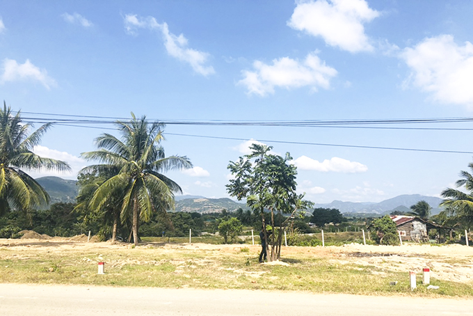 Việc mạo danh dự án để bán đất nền ở Cam Ranh: Sở Xây dựng đã đi kiểm tra, yêu cầu ngăn chặn