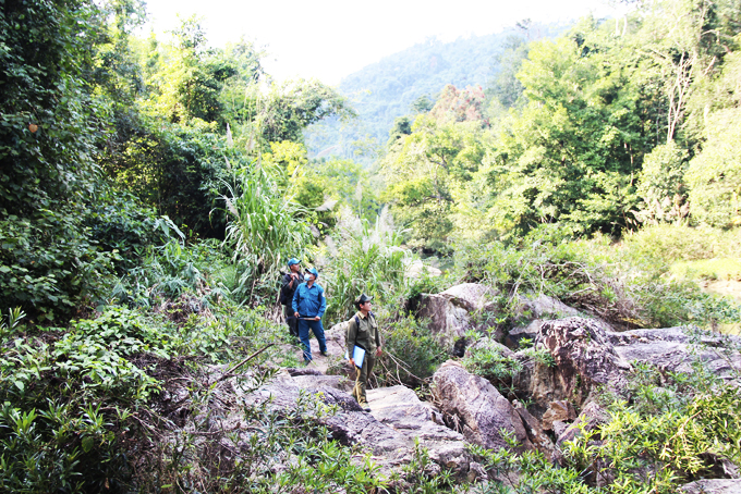 Giữ những cánh rừng