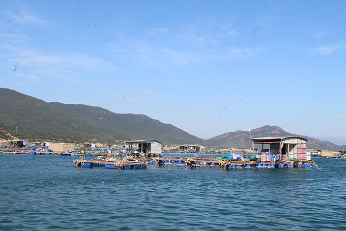 Lồng nuôi bằng vật liệu HDPE: &quot;Chìa khóa&quot; nuôi trồng thủy sản bền vững