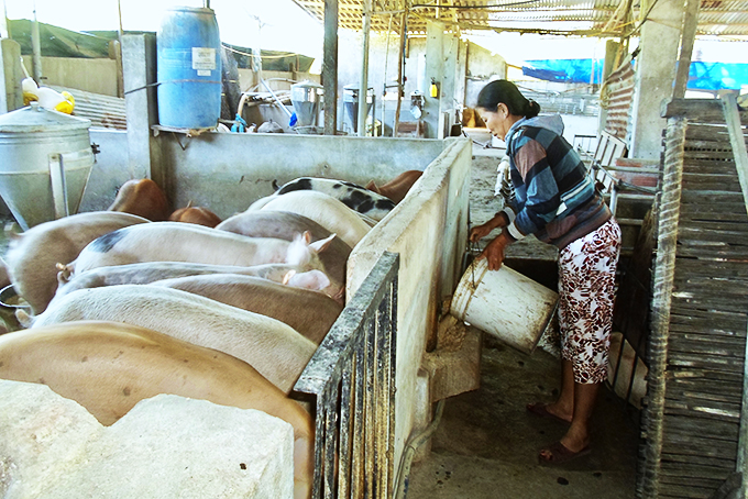 Hỗ trợ phụ nữ làm kinh tế