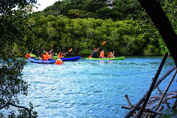 Khách chèo thuyền kayak khám phá rừng ngập mặn ở Khu du lịch Đảo Hoa Lan. 