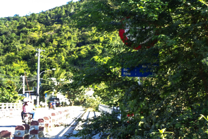 Biển báo, biển tên cầu bị che khuất