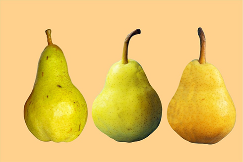 7 lợi ích làm đẹp da của quả lê