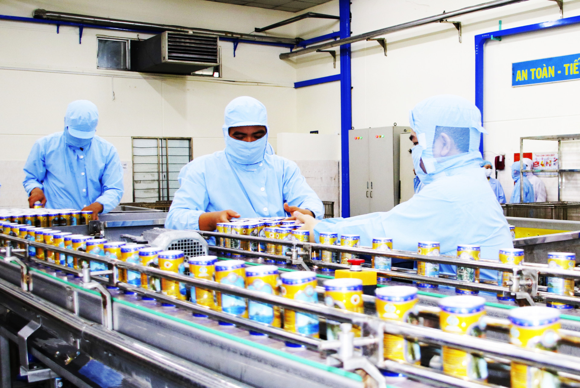 Production line of canned bird nest drink