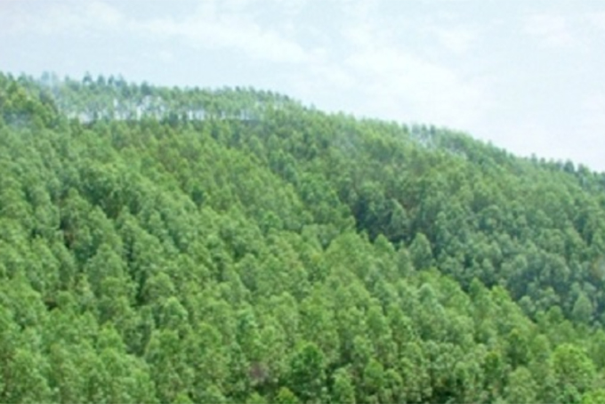 Họp hội đồng thẩm định chủ trương chuyển đổi mục đích sử dụng rừng