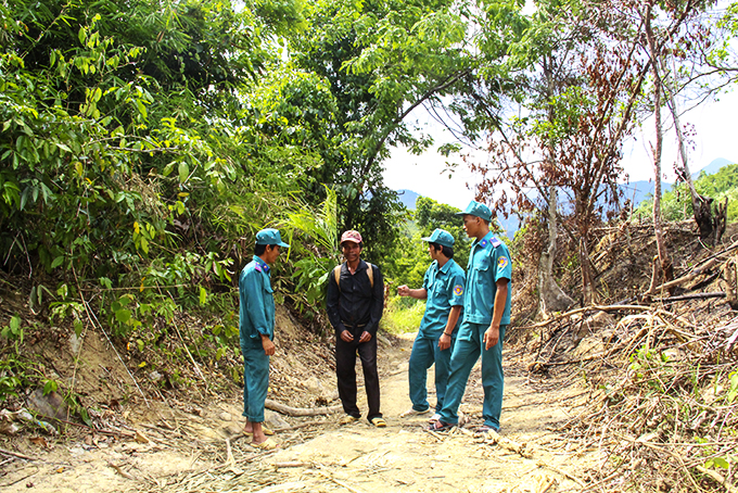 Công ty Lâm sản Khánh Hòa: Tập trung phòng, chống cháy rừng