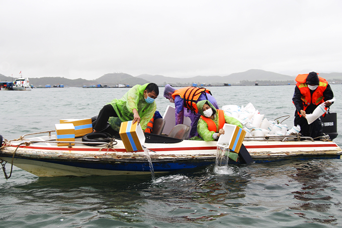 Ran Trao marine ecosystem regenerating well