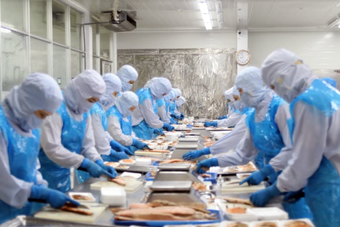 Khanh Hoa Province has 206 seafood processing establishments