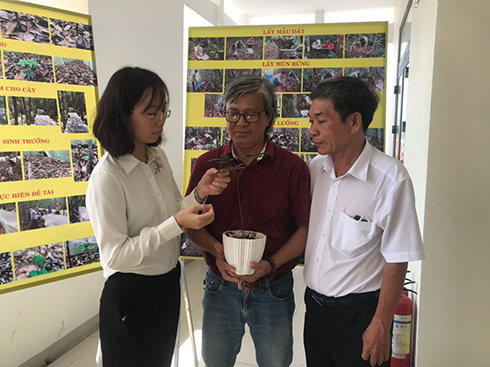 Hội thảo về đề tài Nghiên cứu trồng thử nghiệm cây sâm Ngọc Linh tại Hòn Bà