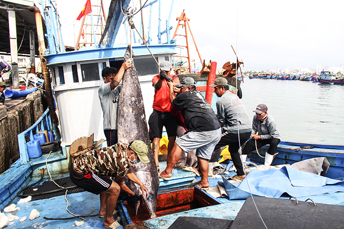Sản lượng thủy sản toàn tỉnh đạt 27,52 nghìn tấn