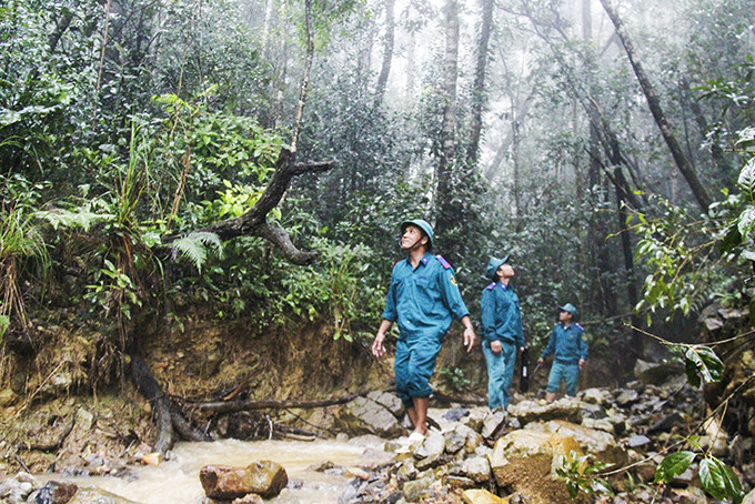 Lực lượng bảo vệ rừng Công ty Lâm sản Khánh Hòa tuần tra, bảo vệ rừng giáp ranh với lâm phận Ban quản lý Rừng phòng hộ Nam Khánh Hòa.
