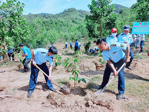 Lãnh đạo Cục Quản lý thị trường tỉnh trồng cây tại lễ ra quân.