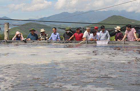 Đoàn khảo sát quy trình nuôi tôm 3 giai đoạn ứng dụng công nghệ semi biofloc tại Hợp tác xã nuôi trồng thủy sản Ninh Phú.