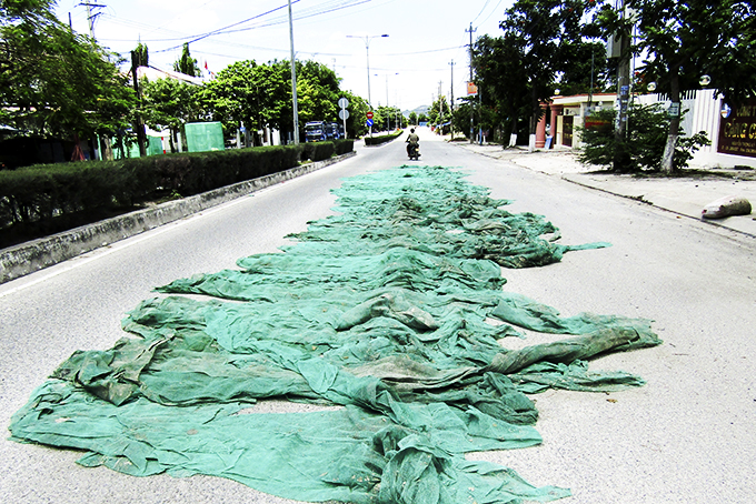 Phơi lưới trên đường