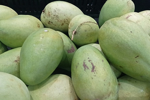 Lợi ích của nước ép xoài sống giúp điều trị say nắng