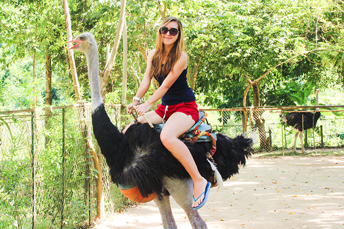 Riding ostrich at Yang Bay