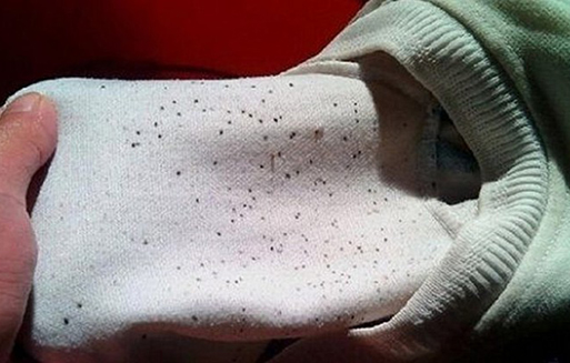 Mẹo làm sạch quần áo bị mốc li ti