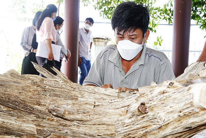 Agarwood crafting in Van Thang commune, Van Ninh district, Khanh Hoa province