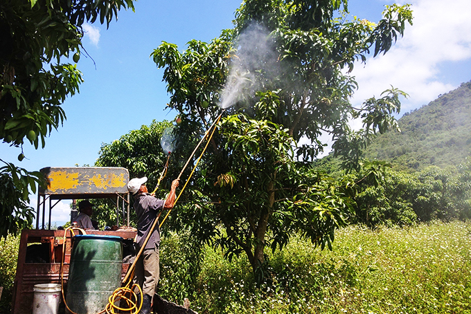 Multi-purpose substance for plants