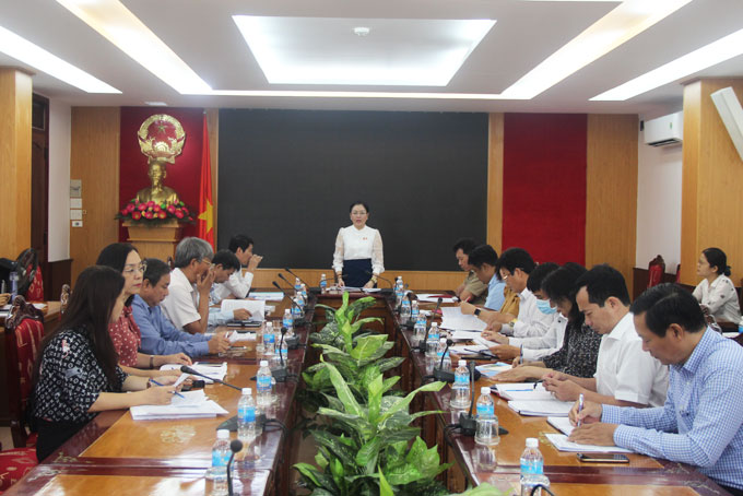 Bà Phạm Thị Xuân Trang phát biểu tại buổi làm việc.