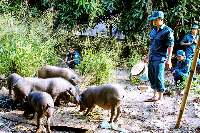 Ban Chỉ huy Quân sự TP. Nha Trang: Thực hiện tốt công tác hậu cần quân đội